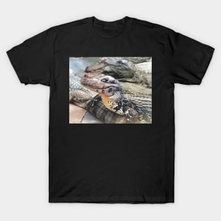 colorized vintage photo of caiman T-Shirt